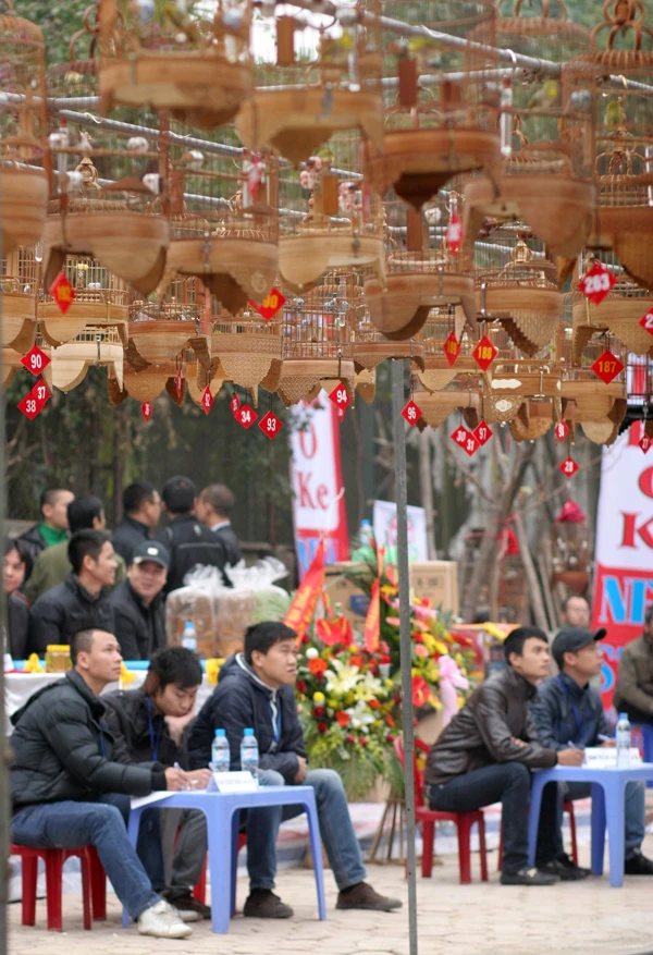 Trọng tài ngồi đếm số lần chim 'mỏ'