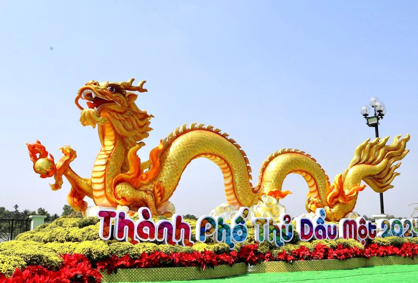 Rồng vàng đặt tại phố đi bộ Bạch Đằng sẽ được di chuyển đến Hội trại tòng quân, cách 5,6km. Rồng vàng đặt tại phố đi bộ Bạch Đằng sẽ được di chuyển đến Hội trại tòng quân, cách 5,6km.