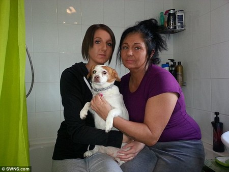 Tá hỏa phát hiện trăn trong bồn tắm ảnh 2