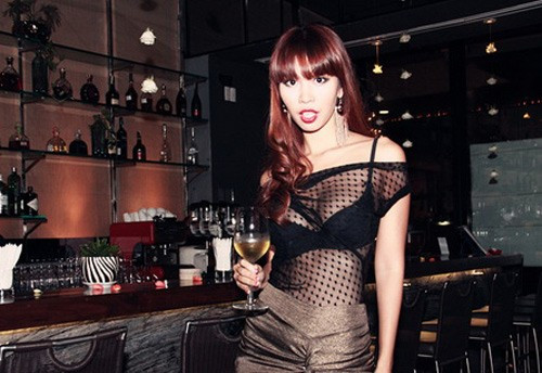 Siêu mẫu Hà Anh bị phạt tiền, cấm diễn tại TP HCM ảnh 2