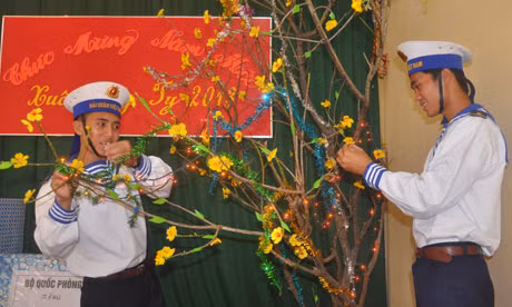 trang trí cành đào...