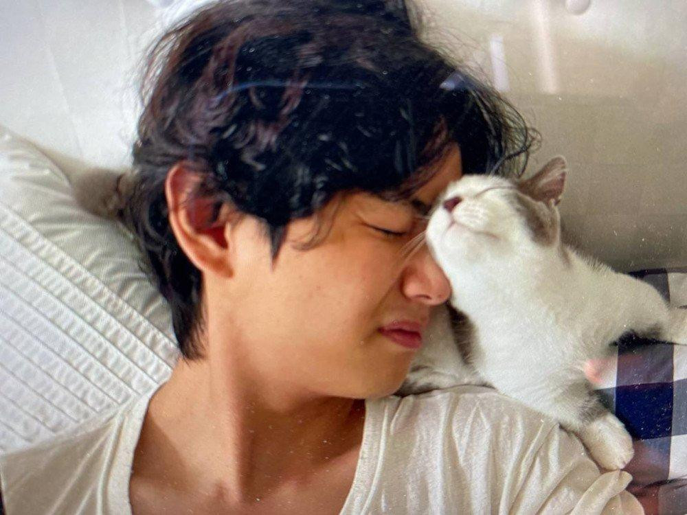 Bức ảnh V nằm nựng mèo được cho là chụp trên giường của Jennie. Ảnh: AllKpop. Bức ảnh V nằm nựng mèo được cho là chụp trên giường của Jennie. Ảnh: AllKpop.