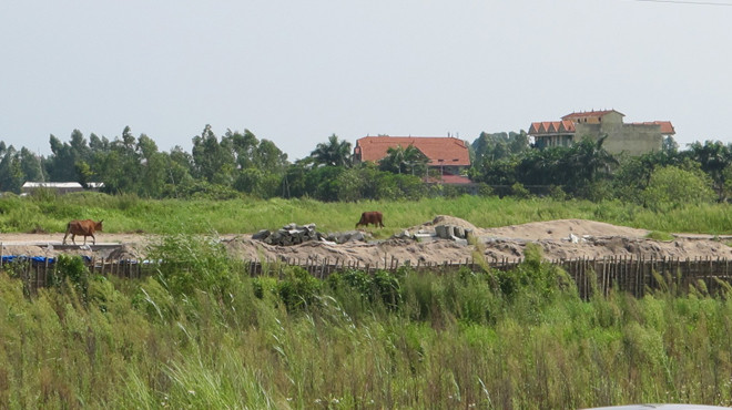 Một dự án ở huyện Mê Linh bị bỏ hoang