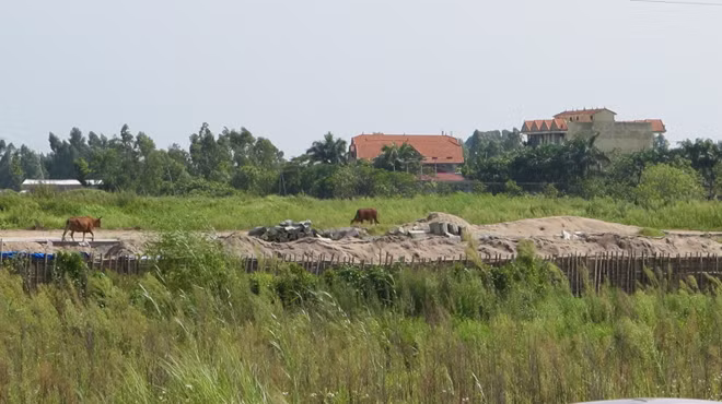 Một dự án ở huyện Mê Linh bị bỏ hoang. Một dự án ở huyện Mê Linh bị bỏ hoang