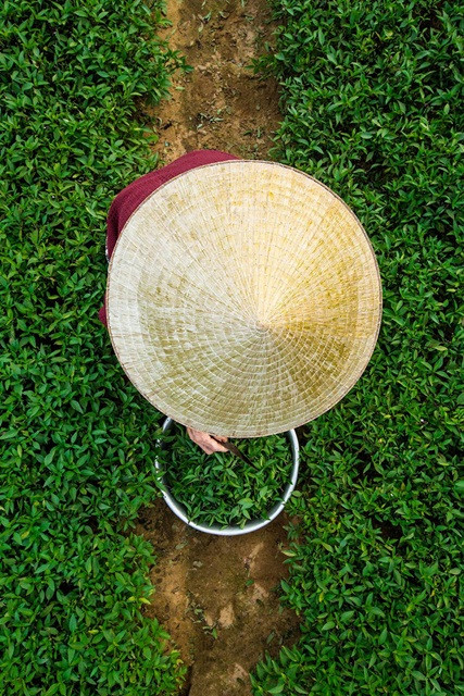 Cuộc sống Hội An đẹp bình yên qua ống kính nhiếp ảnh gia Pháp ảnh 6