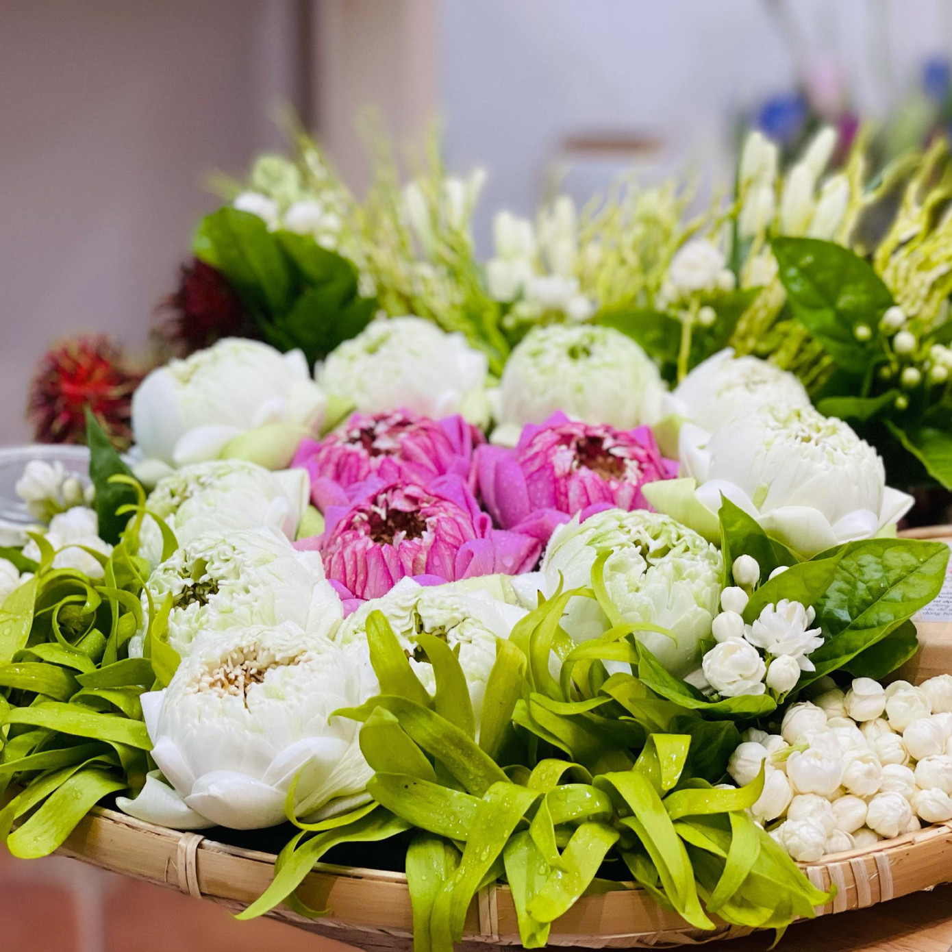 Mẹt hoa lễ của Comida Ngon Mẹt hoa lễ của Comida Ngon