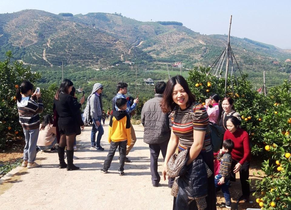 Khách du lịch hứng thú khi trải nghiệm ở những vườn đồi cam, bưởi của Lục Ngạn Khách du lịch hứng thú khi trải nghiệm ở những vườn đồi cam, bưởi của Lục Ngạn