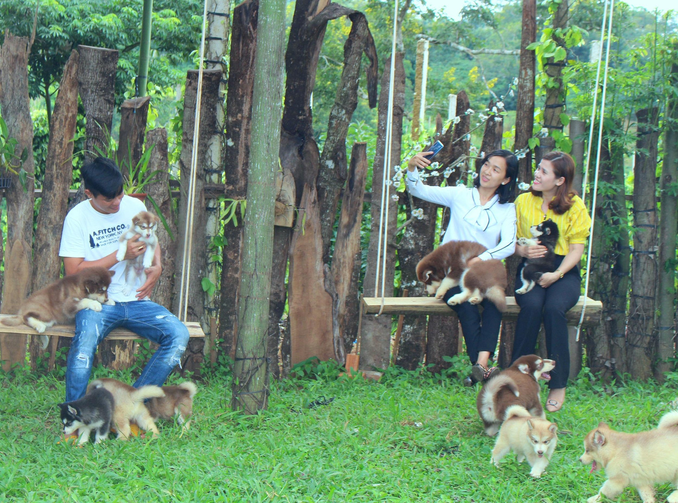 Đến quán uống cà phê, khách được chơi đùa các thú cưng Đến quán uống cà phê, khách được chơi đùa các thú cưng