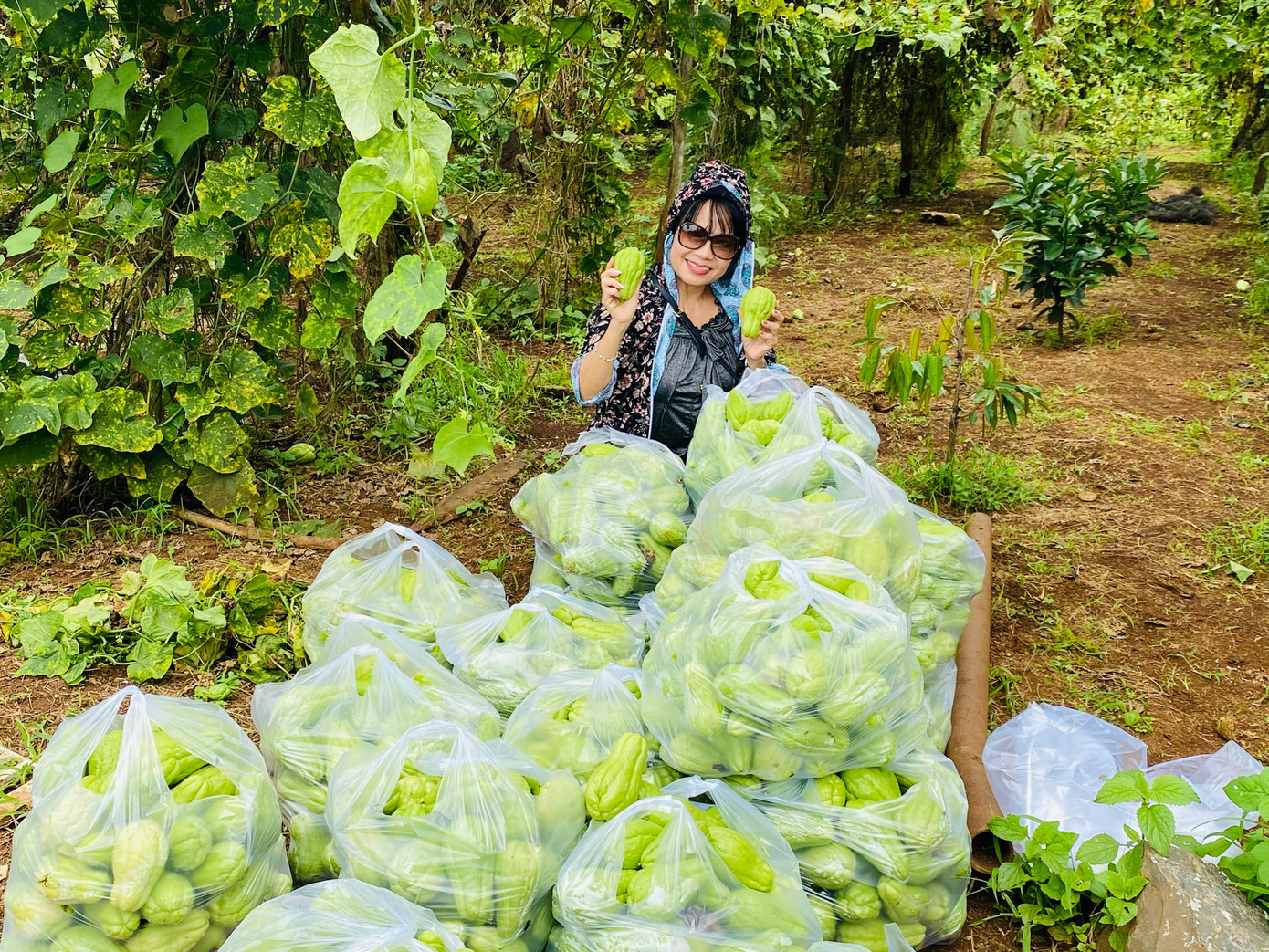 Nông dân buôn Jao tặng hàng tấn su su cho Công an huyện Cư Mgar đổi vật tư y tế