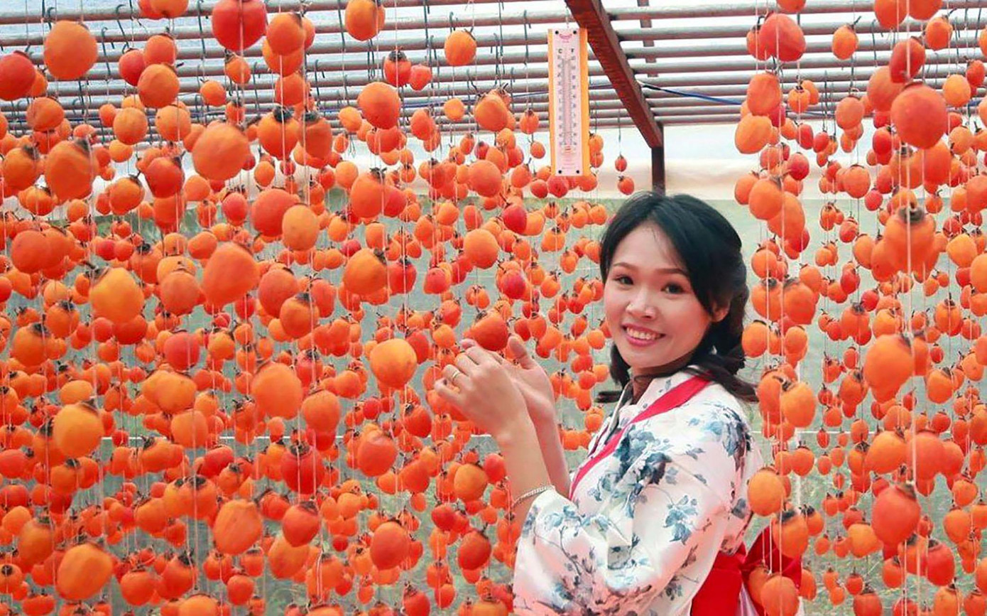 Chị Mến bên giàn hồng sấy theo công nghệ Nhật