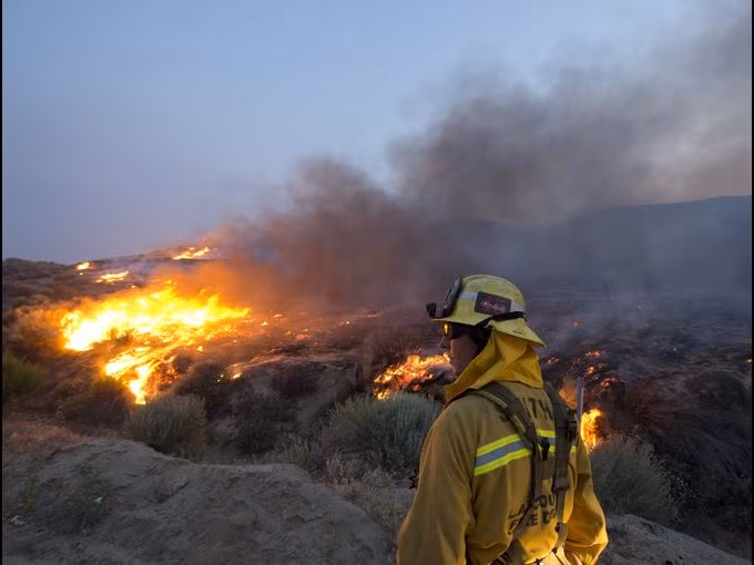 2.000 nhân viên cứu hỏa đã được huy động để dập tắt đám cháy 