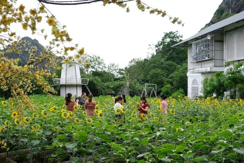 Nhiều bạn trẻ lựa chọn đến điểm du lịch Động Tiên Sơn, phường Hàm Rồng (TP Thanh Hoá) để vui chơi, lưu lại những bức hình kỷ niệm bên khung cảnh tự nhiên của các vườn hoa, núi rừng.