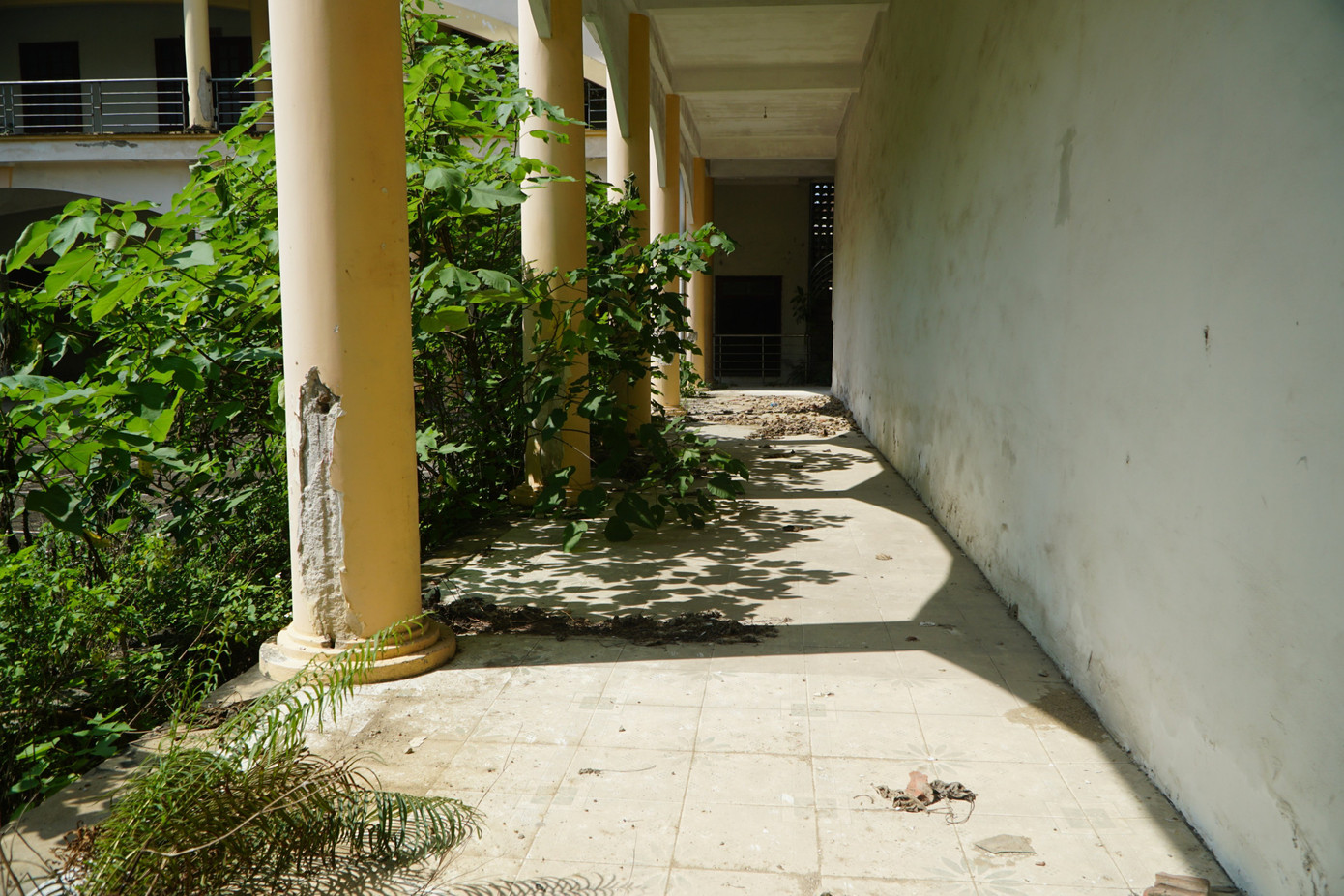 Hành lang bên trong Đài Phát thanh và Truyền hình Thanh Hoá (cũ) cỏ mọc, hư hỏng.