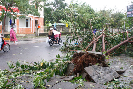 Cây cối dọc các tuyến đường Hùng Vương, Lý Thường Kiệt, Nguyễn Thị Minh Khai, Huỳnh Thúc Kháng, Trần Phú… gẫy đổ ngổn ngang. Ảnh: Nguyễn Thành. dfgsd
