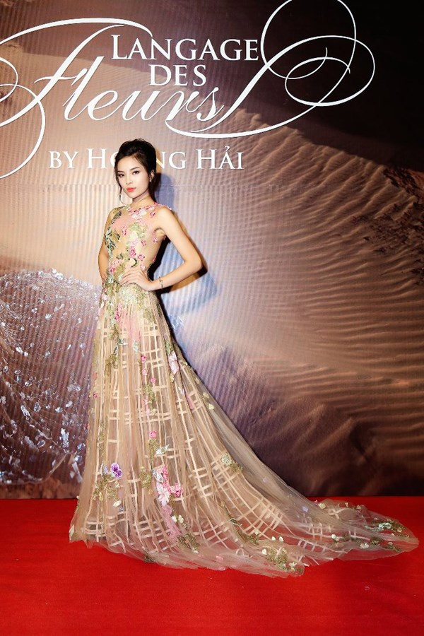 Hoa hậu Pháp duyên dáng trên sàn catwalk Việt ảnh 5