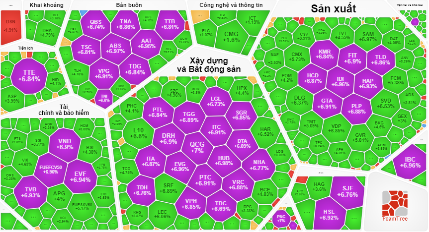 Trên HoSE, 44 cổ phiếu tăng trần.