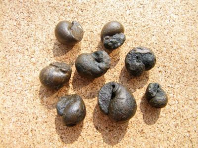 Những viên sỏi mà bạn cần. Hình dáng sỏi càng lạ lùng thì càng dễ tạo ấn tượng - Ảnh: An An Bọn mèo composit còn nguyên màu mộc - Ảnh: An An