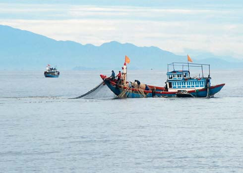 Ngư dân đánh bắt cá trên vùng biển đảo Lý Sơn (Quảng Ngãi). Ảnh: Trí Tín