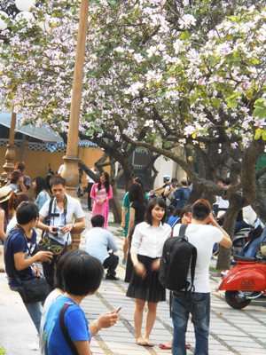 Các bạn trẻ Hà Nội háo hức chụp ảnh. Các bạn trẻ Hà Nội háo hức chụp ảnh