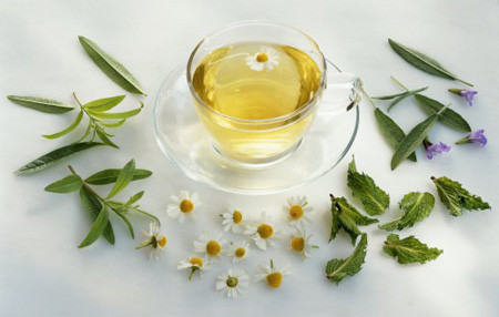 Hoa cúc giúp hạ huyết áp. Ảnh: Internet. Hoa cúc giúp hạ huyết áp. Ảnh: Internet.