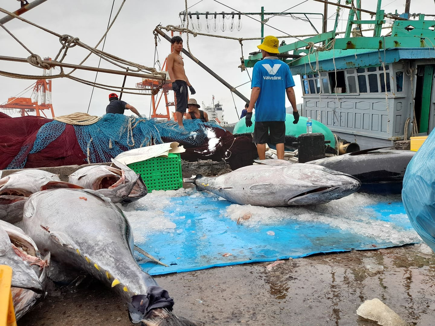 Trực thăng, xe bọc thép sẵn sàng ứng phó với bão số 9 ảnh 13