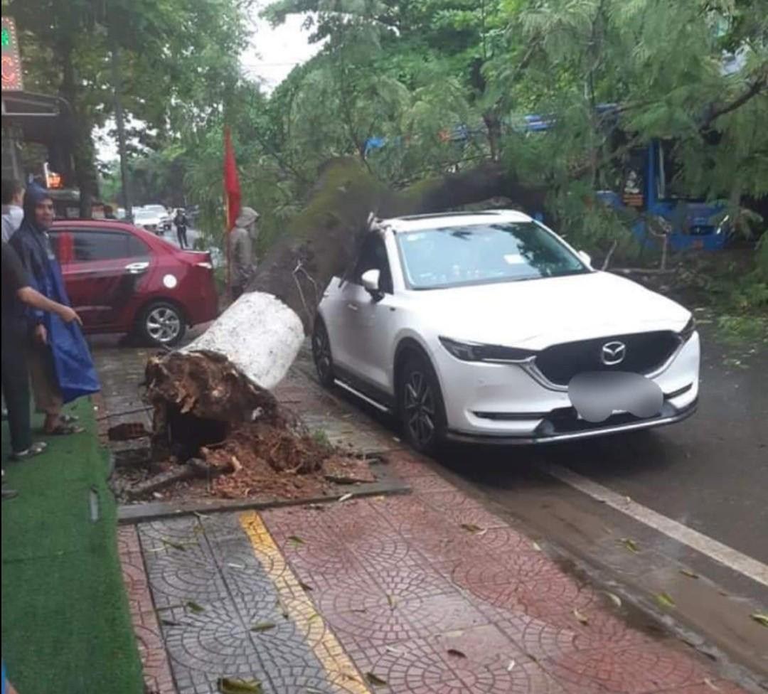 Mưa lớn khiến một cây phượng cổ thụ trên đường Trần Hưng Đạo, thị xã Quảng Trị bị gãy đổ đè lên xe ô tô BKS 74A-118.65 và một xe mô tô đang lưu thông trên đường. Mưa lớn khiến một cây phượng cổ thụ trên đường Trần Hưng Đạo, thị xã Quảng Trị bị gãy đổ đè lên xe ô tô BKS 74A-118.65 và một xe mô tô đang lưu thông trên đường.