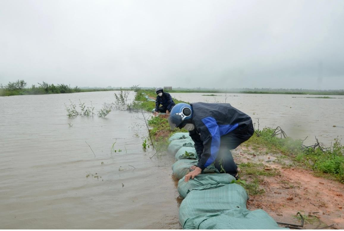 Gia cố các điểm xung yếu trên các đê bao bằng bao cát ở vùng trũng Hải Lăng. Gia cố các điểm xung yếu trên các đê bao bằng bao cát ở vùng trũng Hải Lăng.