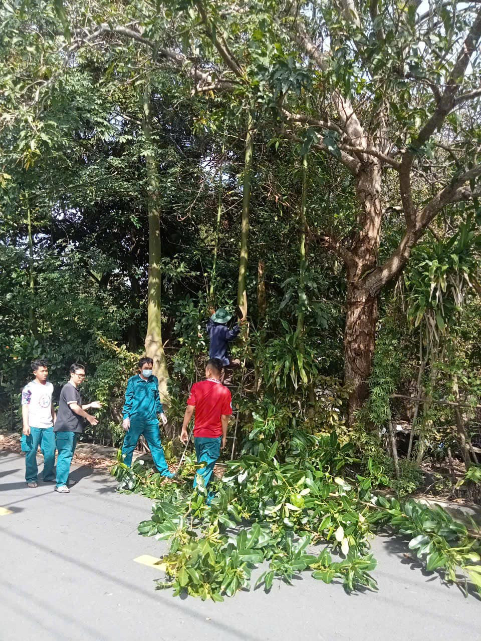 Ảnh: Đoàn Phường Trà An