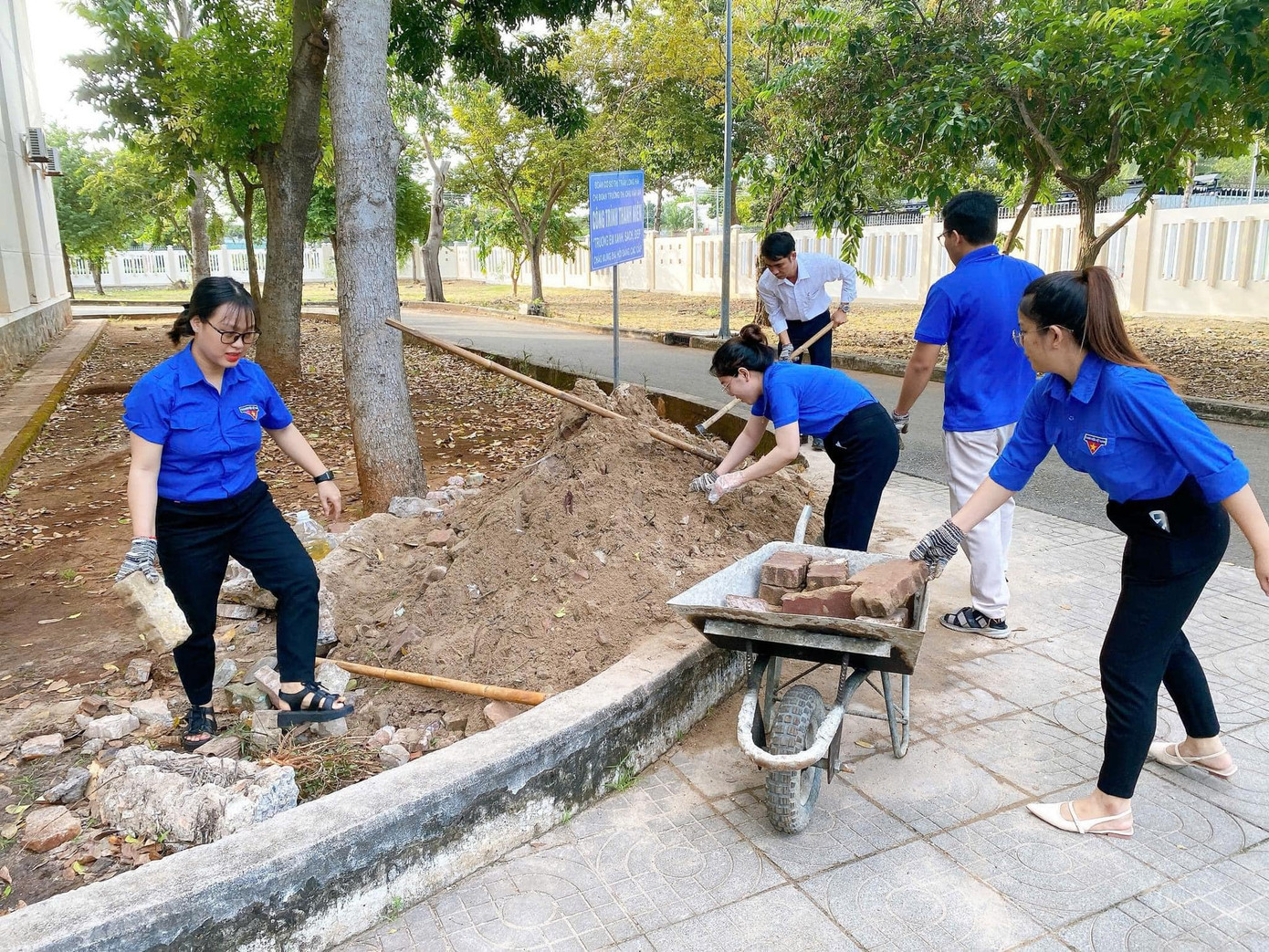 Ảnh: Tuổi Trẻ Long Hải Ảnh: Tuổi Trẻ Long Hải