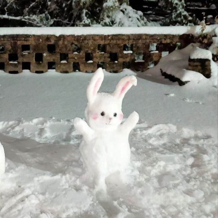 Netizen tan chảy trước độ đáng yêu của các con vật làm từ tuyết. Ảnh: VKR News