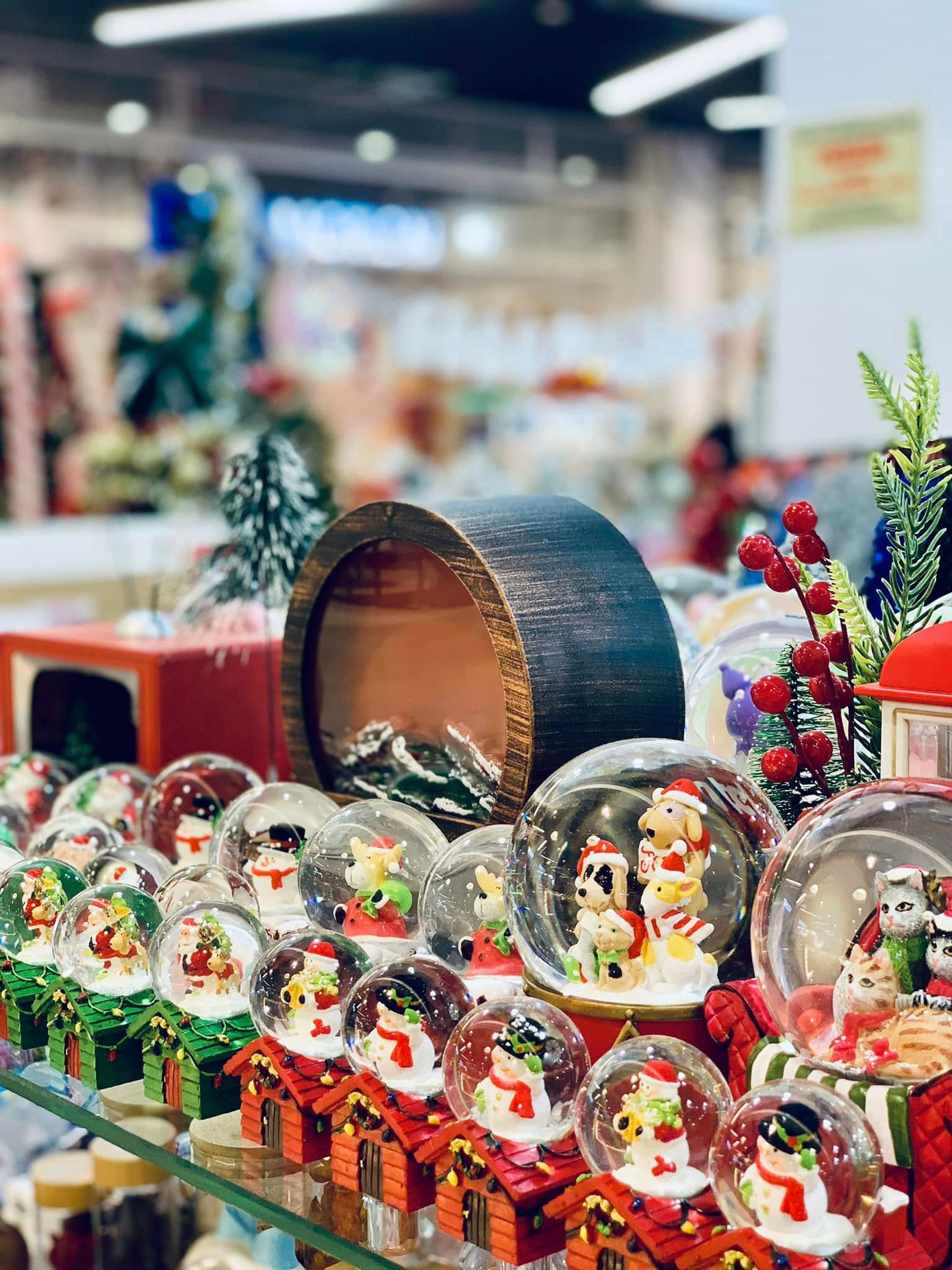 Ảnh: Nhà sách Fahasa Tân Hiệp.