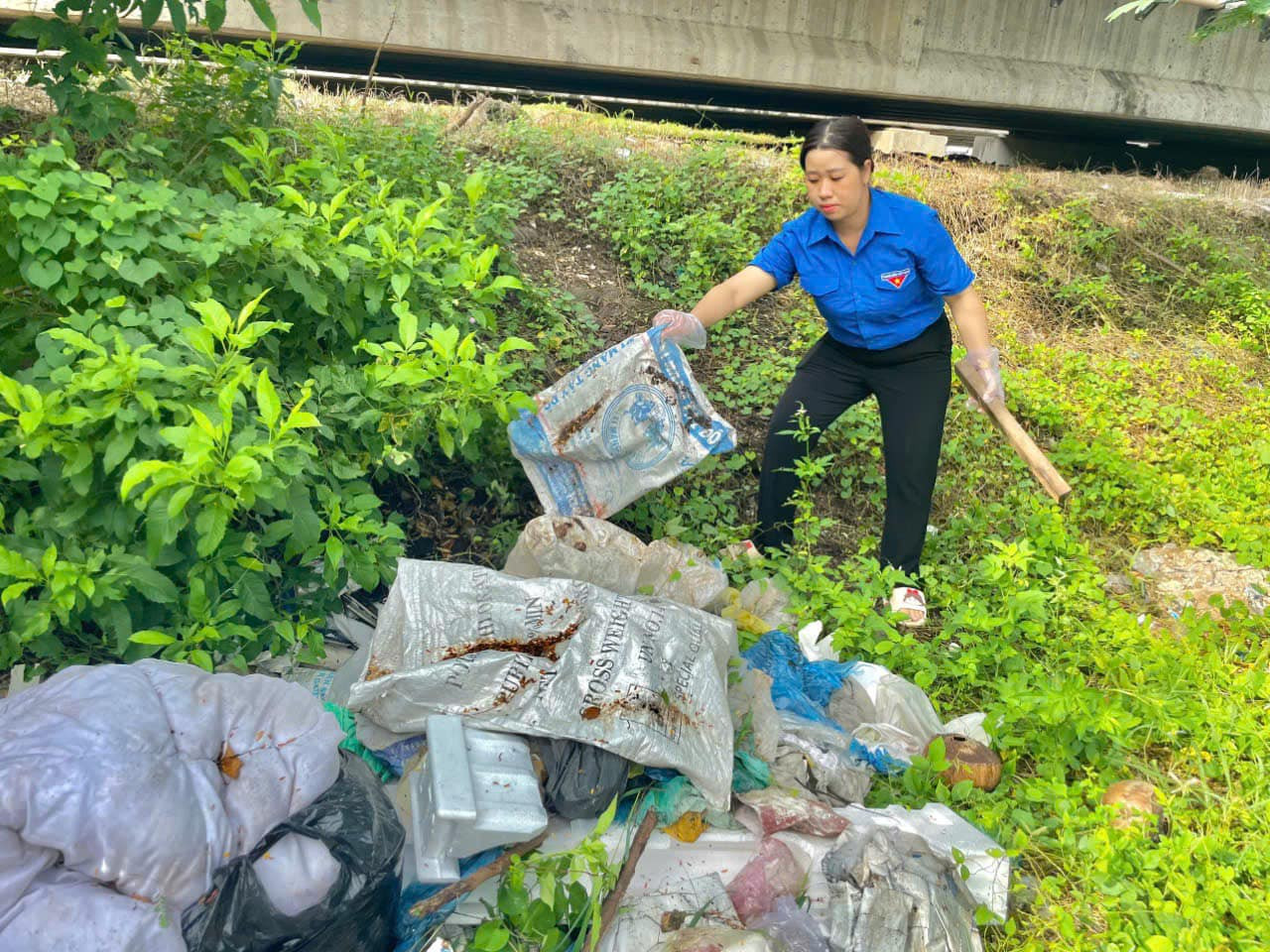 Ảnh: Đoàn Phường Trà An