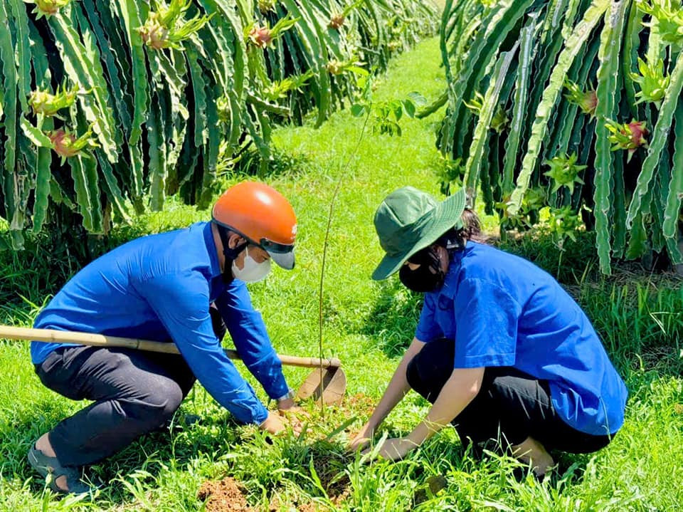 Ảnh: Đoàn Hàm Thuận Nam