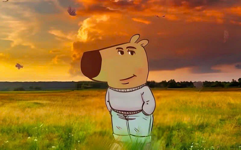 Chú chó gây chú ý trong cộng đồng mạng những ngày qua. Chú chó gây chú ý trong cộng đồng mạng những ngày qua.