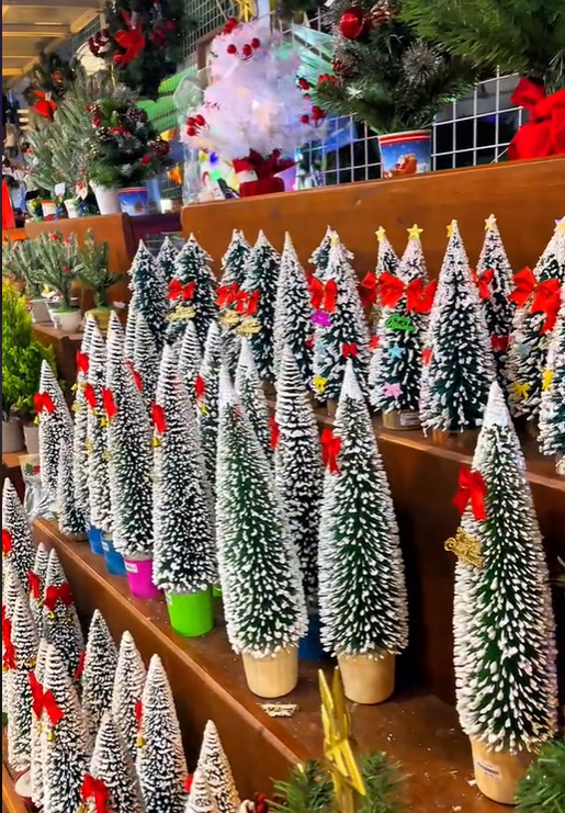 Vào dịp lễ Giáng sinh, nhà sách Đức Mẹ lại thu hút rất đông người trong và ngoài Công Giáo ghé thăm. Ảnh: @huyzuuhy