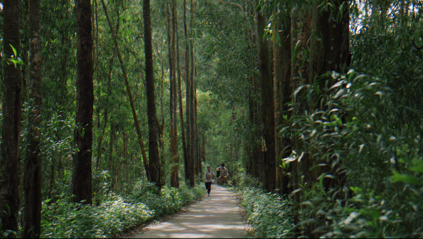 Sự đầu tư về bối cảnh là một trong những yếu tố khiến video thu hút được người xem.
