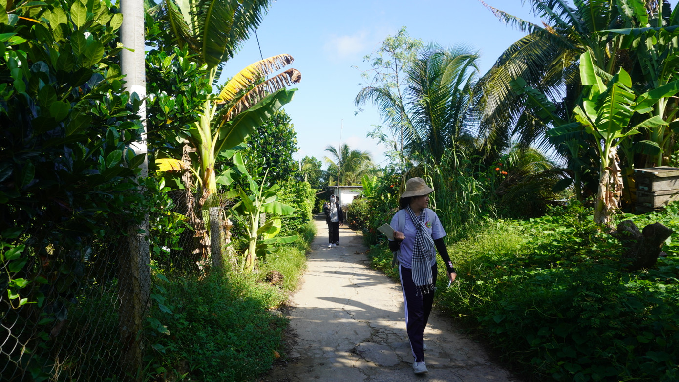 Tản bộ giữa hàng cây xanh mát được nhiều bạn trẻ yêu thích. Ảnh: Văn Tùng