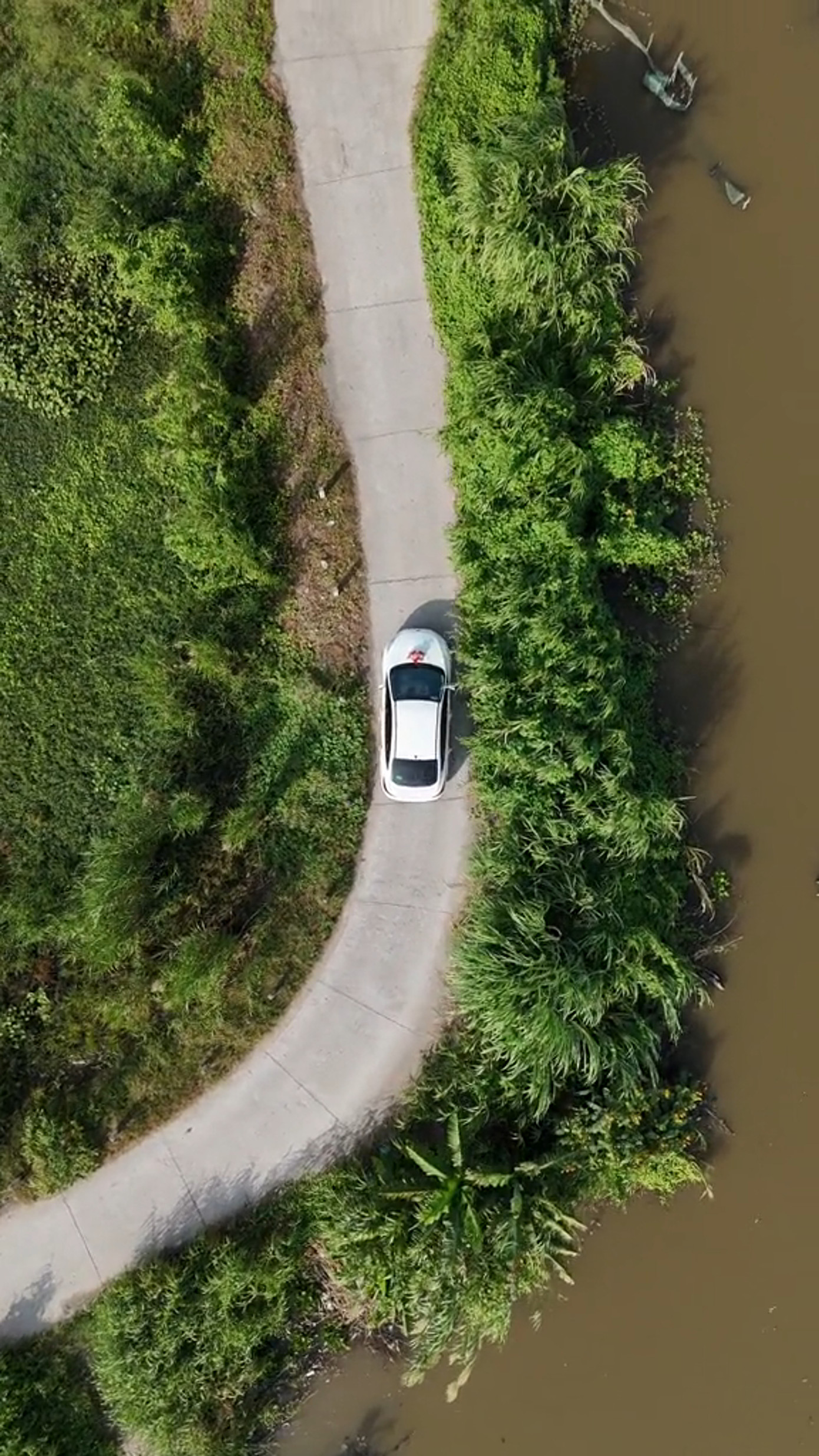 Nhiều người tò mò về xuất xứ của chiếc xe xuất hiện trong video. Nhiều người tò mò về xuất xứ của chiếc xe xuất hiện trong video.