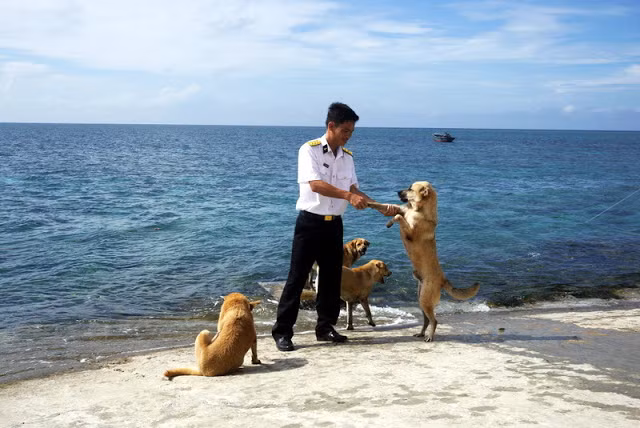 Bắt tay cái nào