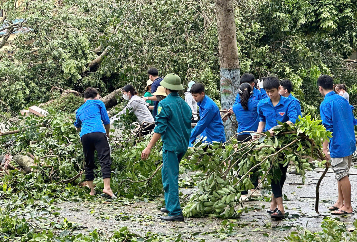Đoàn viên thanh niên phối hợp cùng lực lượng chức năng thu gom cành cây gãy sau cơn bão. Ảnh: Cổng thông tin điện tử tỉnh Bắc Ninh