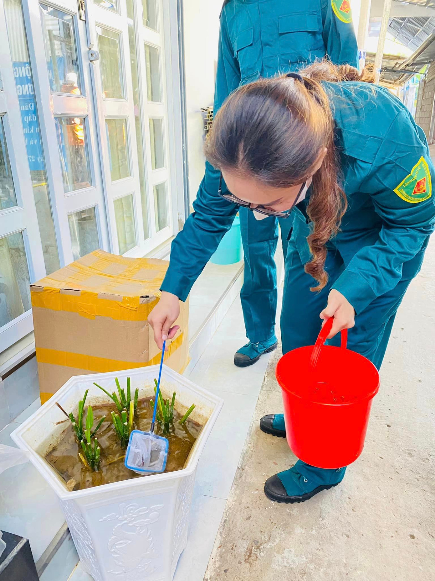 Ảnh: Đoàn Phường Vĩnh Quang Ảnh: Đoàn Phường Vĩnh Quang