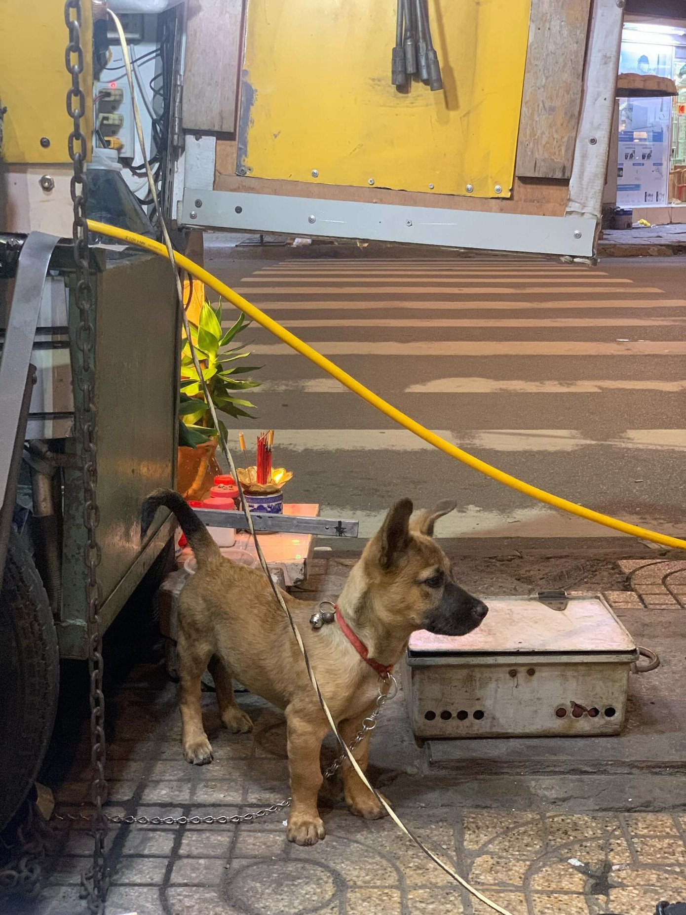 Ảnh: @huytr80e Ảnh: @huytr80e