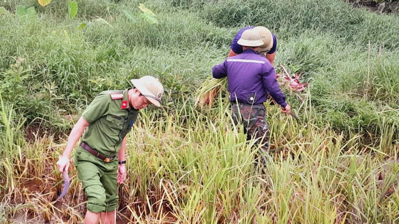 Ảnh: Đoàn Thanh niên Công an Nghệ An