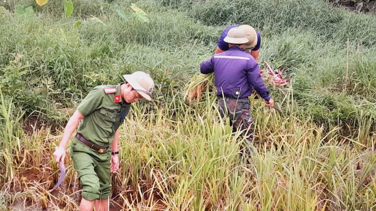 Ảnh: Đoàn Thanh niên Công an Nghệ An