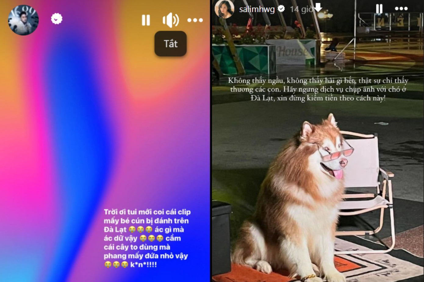 Ca sĩ Trung Quân, Salim phẫn nộ với hành vi ngược đãi động vật. Ca sĩ Trung Quân, Salim phẫn nộ với hành vi ngược đãi động vật.