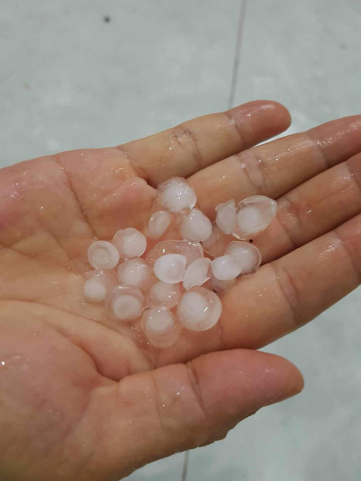 Ảnh: Nhật Đông Ảnh: Nhật Đông