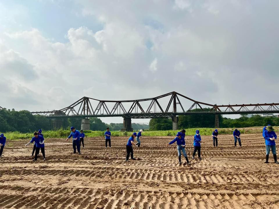 Hành động cùng nhau trồng cây thể hiện rõ ý thức, trách nhiệm trong việc bảo vệ môi trường của thanh niên thủ đô, hướng tới xây dựng một không gian xanh - sạch - đẹp cho cộng đồng. Ảnh: Cổng thông tin Trung ương Đoàn TNCS Hồ Chí Minh