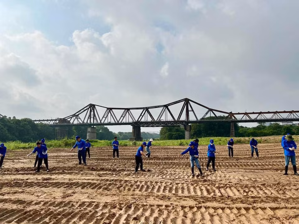 Hành động cùng nhau trồng cây thể hiện rõ ý thức, trách nhiệm trong việc bảo vệ môi trường của thanh niên thủ đô, hướng tới xây dựng một không gian xanh - sạch - đẹp cho cộng đồng. Ảnh: Cổng thông tin Trung ương Đoàn TNCS Hồ Chí Minh