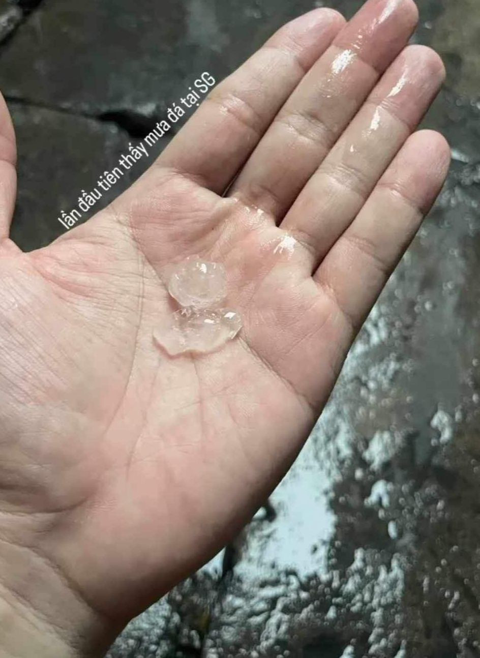 Ảnh: Duy Trần. Ảnh: Duy Trần.