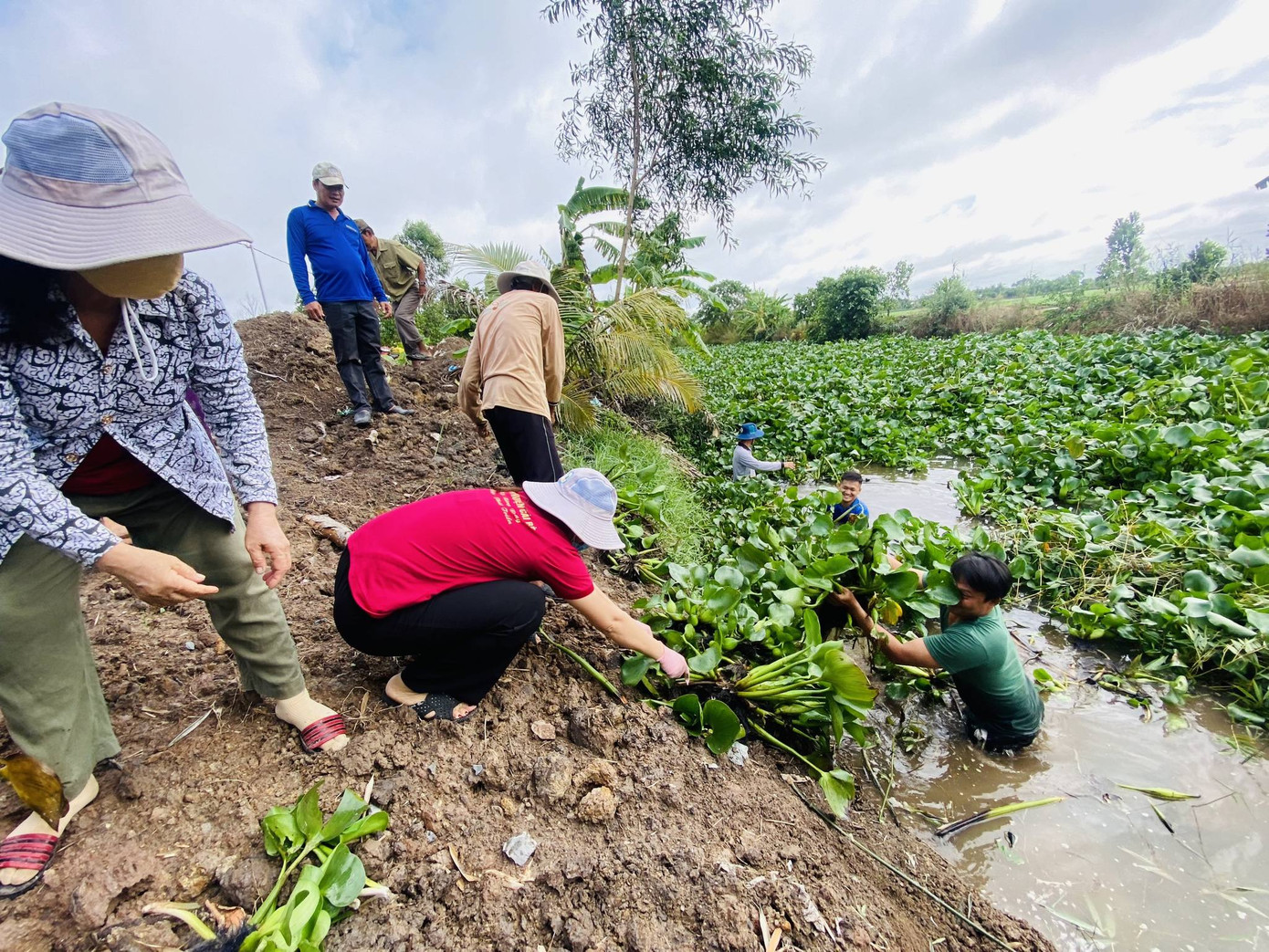 Ảnh: Đoàn thanh niên Hậu Mỹ Trinh Ảnh: Đoàn thanh niên Hậu Mỹ Trinh